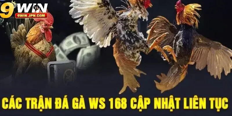 Vì sao Ws168 Đá Gà tại 9Win được yêu thích?